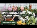 Go Behind-the-Scenes at SMITHSONIAN GARDENS