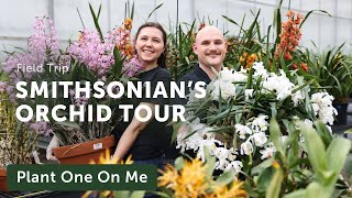 Go Behind-the-Scenes at SMITHSONIAN GARDENS' Epic ORCHID GREENHOUSES - Ep. 378