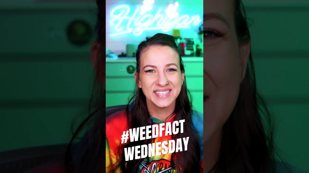 Живая смола / Канифоль 🌳🍯