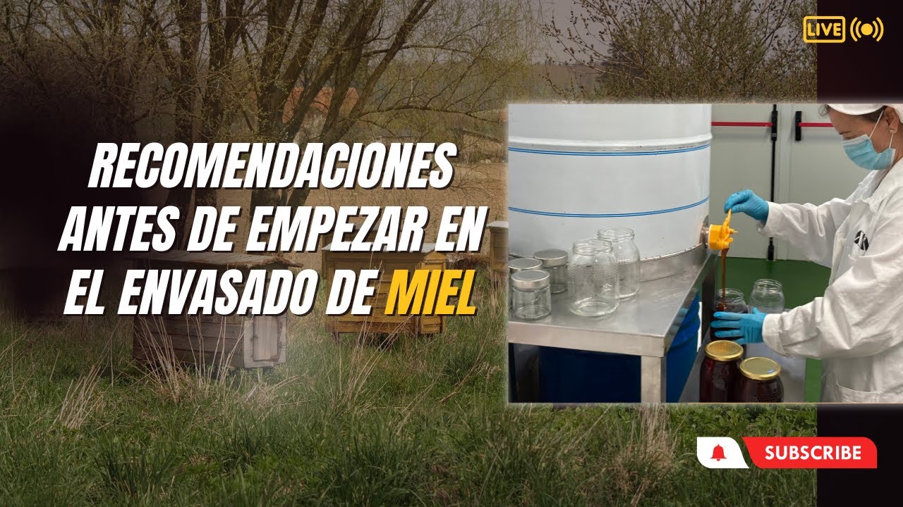 Consejos clave para un envasado exitoso de la miel 🍯 - YouTube