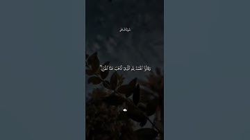 تلاوة هادئه تريح القلب ❤ قران كريم ❤ قرآن ❤قران ❤ تلاوة خاشعة ❤أرح سمعك ❤ short
