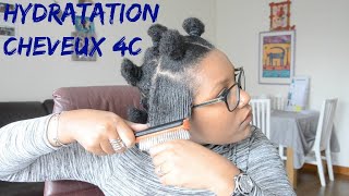 L.O.C. MÉTHODE / HYDRATATION SUR CHEVEUX 4C