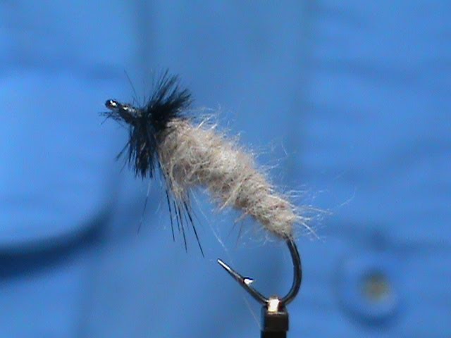 Fly Tying a Cranefly Larva with Jim Misiura 