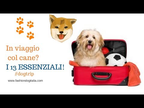 Video: Lista Di Controllo Essenziale Per Un Viaggio Su Strada Con I Cani