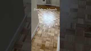 Damas de Eucalipto en Extramate. En Cantabria