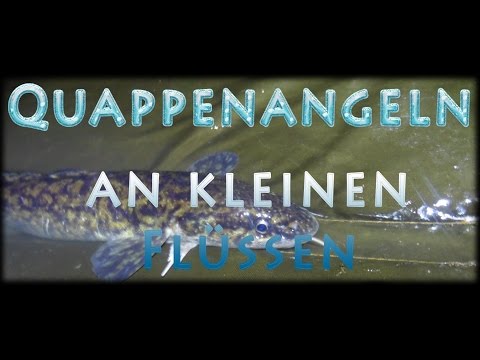 Video: Wie Man Quappe Brät