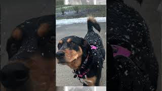 Codas First Snow Of The Year