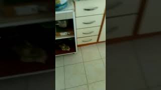 Et Pişirme Yöntemi