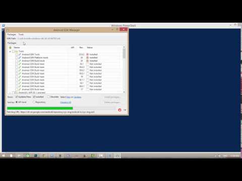 How to Install Phonegap Cordova in Windows and Running android demo