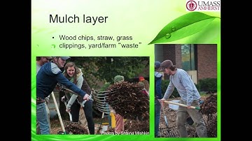 Ryan Harb (Pt. 3/4) Permaculture Talk to UMass Amherst Botany for Gardens Class