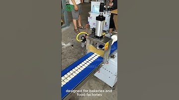 Cut, Shape & Perfect Dough Instantly | Multifunctional Dough Forming Machine #machine #smallbusiness