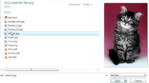 How to upload and use images in RVSiteBuilder