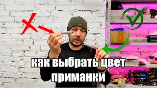 Выбор цвета приманки - главные правила которые вы не знали