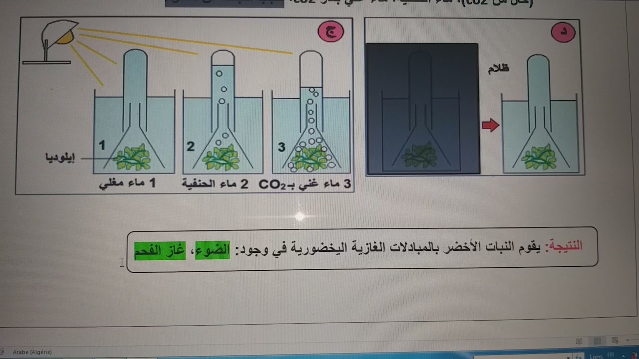 درس المبادلات الغازية اليخضورية، شروطها، ومقرها (ملخص + تمارين)