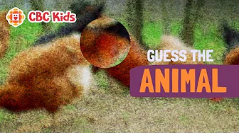Guess The Feathery Farm Animal! | CBC Kids