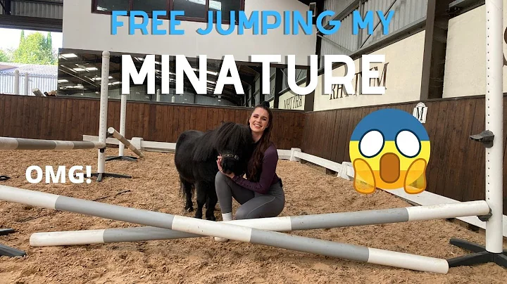 FREE JUMPING MY MINIATURE SHETLAND?! can he jump??