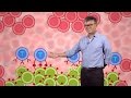 Synthetic biology building cell signaling networks  wendell lim