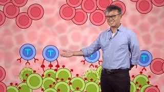 Synthetic Biology: Building cell signaling networks - Wendell Lim