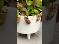 1 SECOND From FALLING In!