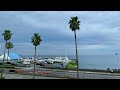 坂本冬美 海岸通