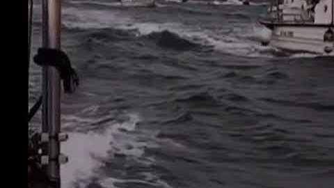 تلاوة خاشعة للشيخ علي جابر | ﴿قُل لَو كانَ البَحرُ مِدادًا لِكَلِماتِ رَبّي....