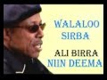 Ali Birra - Nin deema Lyrics - Oromo Music