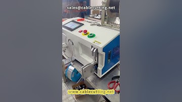 Automatic sorting wire winding machine, #wire processing #wire tying machine #automatic wire winding