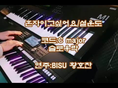 전자올겐연주 설운도 혼자이고싶어요 연주:BISU 황호찬