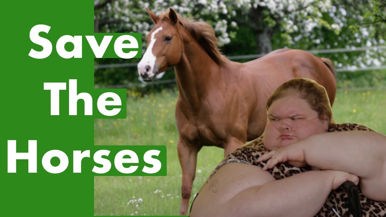 TikTok star cancels horse ranch