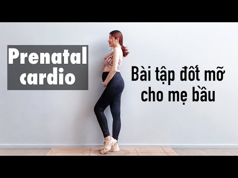 Video BÀI TẬP CHO BÀ BẦU - Cardio đốt mỡ & thai kì khoẻ mạnh... - youtube