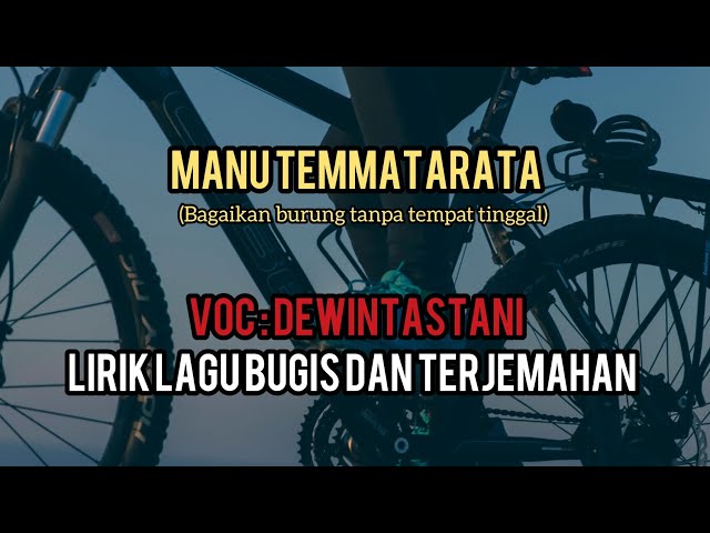 Lagu bugis Manu temmatarata (lirik dan terjemahan) class=