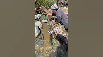Using A Sluice Box To Find Gold