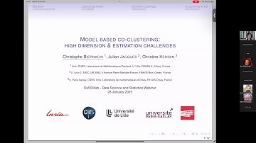 DaSSWeb | Model-based Co-Clustering: High Dimension and Estimation Challenges