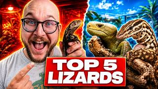 The Top 5 Medium Sized Lizards