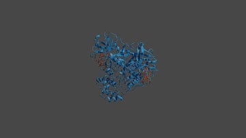 SARS CoV-2 Main Protease with Blender and ChimeraX