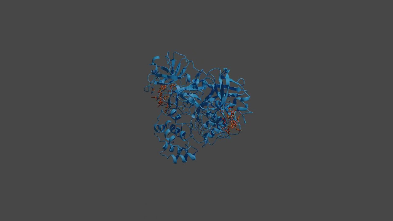 SARS CoV-2 Main Protease with Blender and ChimeraX