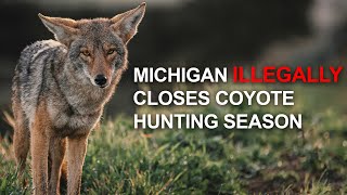 Michigan Illegally Closes Coyote Hunting Season: The Fight for Conservation and Hunting Rights