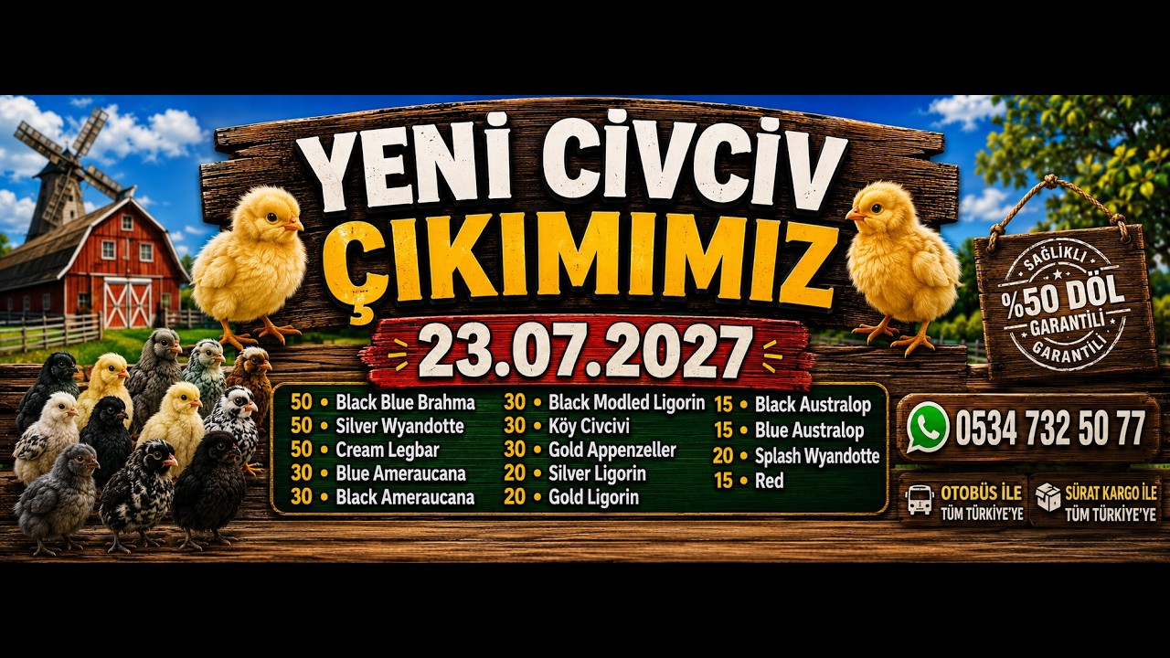 Civciv Çıkımımız Gerçekleşti.
