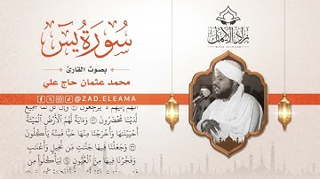 سورة يس || محمد عثمان حاج علي