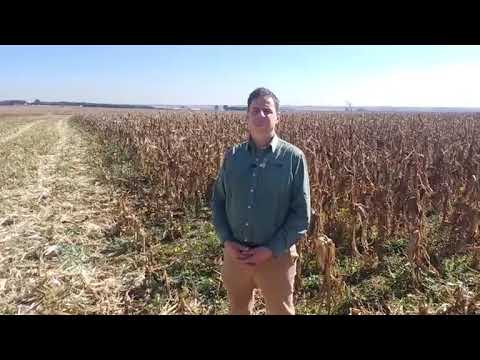 Wat maak Grain SA/Graan SA se Groei vir Goud-kompetisie so uniek?