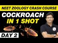 COCKROACH in 1 Shot | Structural Organisation in Animals | Zoology in 30 Days | Day 2 | UMEED