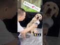 #viral #viral video# youtube shorts #music# mother love 💕😘