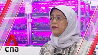 Mental well-being of students just as important as gaining knowledge: President Halimah