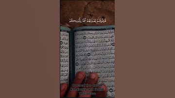 محمد اللحيدان | سورة التوبة