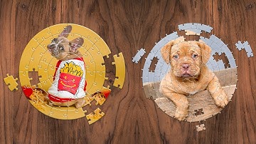 The 2022 version of the PanosFX Jigsaw Puzzles