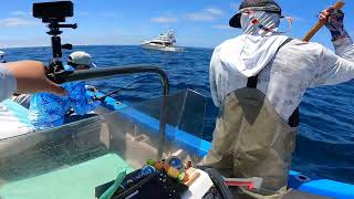 FISHING AT CORONADO ISLANDS FOR YELLOWTAIL 8/1/25