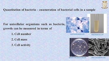 Quantitative measurement of bacterial growth by direct and indirect methods