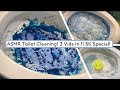 💙🚽5K SUBSCRIBER SPECIAL! 3 TOILET VIDEOS IN 1! | ASMR Foamy & Pastey Toilet Cleaning! 🚽💙