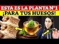 Solo 1 AL DÍA para HUESOS FUERTES y ARTICULACIONES SALUDABLES, Aliviar DOLORES y Contra Osteoporosi