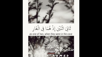 حالات واتس قرانيه القران الكريم سوره التوبه للقارئ عبد الرحمن مسعد اجمل صوت ممكن تسمعه💛🥺